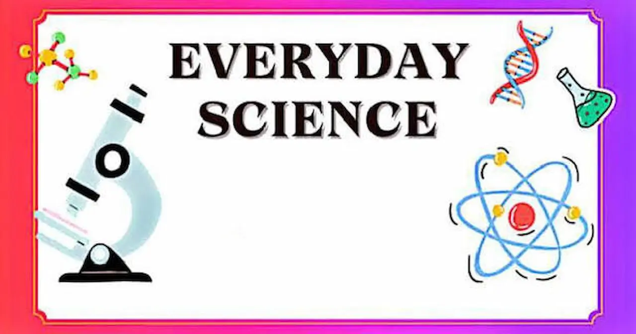 Everyday Science MCQs Explained Simply